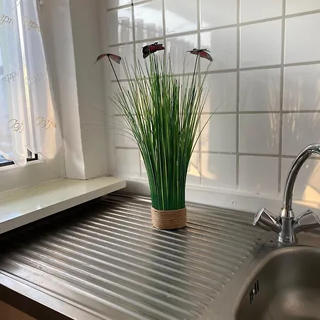 Am Hellbach Xl Im Ostseeland 民宿 Neubukow